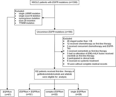 The Predictive Values of Advanced Non-Small Cell Lung Cancer Patients Harboring Uncommon EGFR Mutations—The Mutation Patterns, Use of Different Generations of EGFR-TKIs, and Concurrent Genetic Alterations